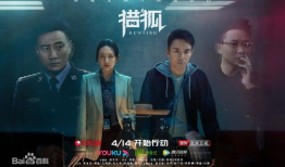 猎狐电视剧,跨境追逃，正义之战