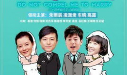 电视剧别逼我结婚,爱情与现实的抉择