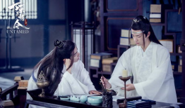 陈情令电视剧,青春热血，江湖传奇，探寻仙侠世界的青春足迹
