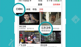 直播看片app,探索无限影视世界的便捷之门