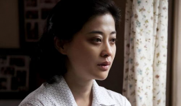 梅婷演过的电视剧,情感与命运的交织