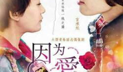 偶像电视剧大全,盘点年度热门偶像电视剧大全