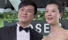 电视剧别逼我结婚,爱情与现实的抉择