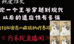 疗养院直播间91,揭秘养老生活新体验