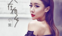 女人进城电视剧全集,奋斗与蜕变的人生篇章