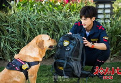 神犬小七3电视剧全集,忠诚守护，再续传奇，热血青春！
