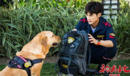 神犬小七3电视剧全集,忠诚守护，再续传奇，热血青春！