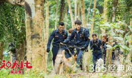 神犬小七3电视剧全集,忠诚守护，再续传奇，热血青春！
